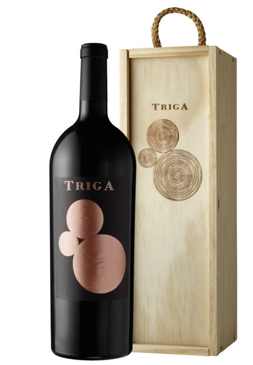 15363298643654 Triga Alicante DO 2015 – Bodegas Volver (150cl im Hoki)